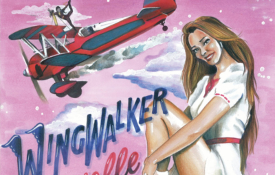 Wingwalking: Danielle Wingwalker